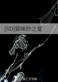 (BG/SD同人)爱上灌篮的你